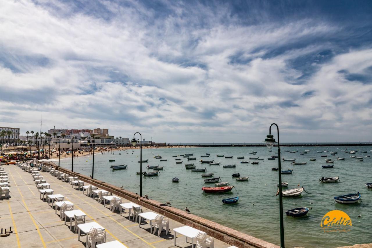Green Home - WIFI - PETFRIENDLY - ECOFRIENDLY Cádiz Buitenkant foto
